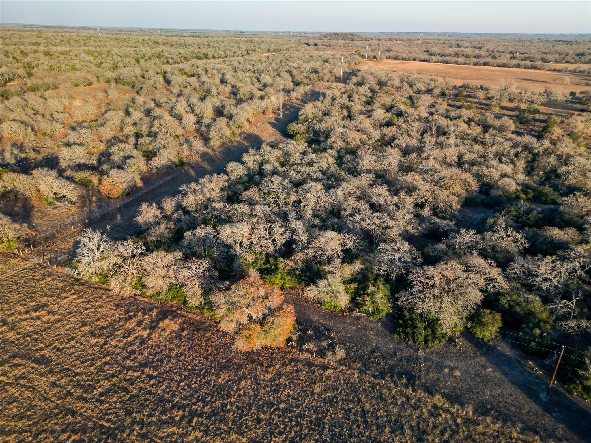 000 Sandy Pine Road Luling TX 78648