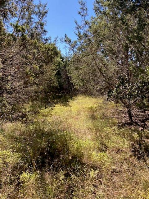 55 York Creek Road Driftwood TX 78619