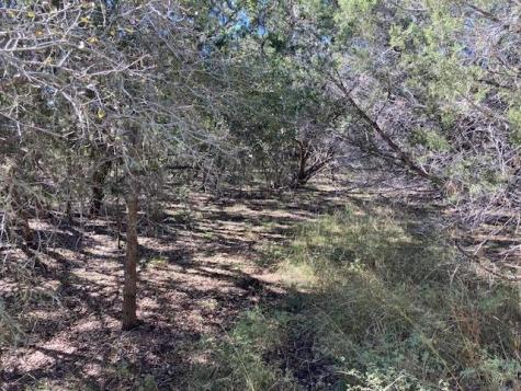 55 York Creek Road Driftwood TX 78619