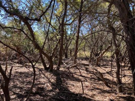 55 York Creek Road Driftwood TX 78619