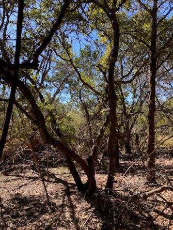 55 York Creek Road Driftwood TX 78619