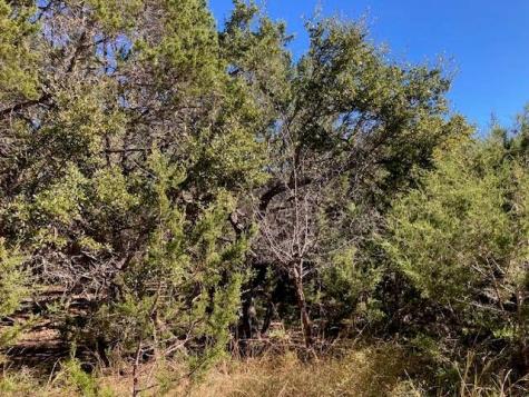 55 York Creek Road Driftwood TX 78619