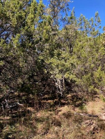 55 York Creek Road Driftwood TX 78619