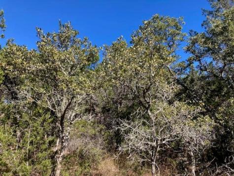 55 York Creek Road Driftwood TX 78619