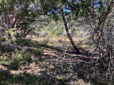55 York Creek Road Driftwood TX 78619