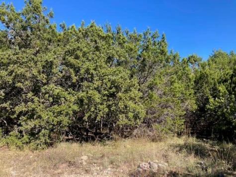 55 York Creek Road Driftwood TX 78619