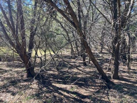 55 York Creek Road Driftwood TX 78619