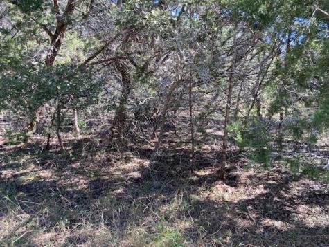 55 York Creek Road Driftwood TX 78619