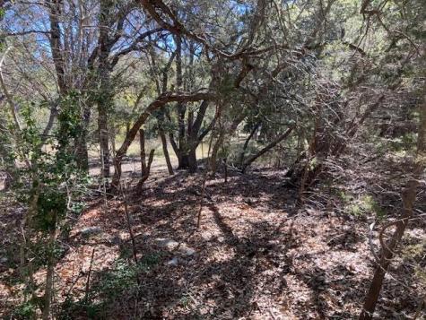55 York Creek Road Driftwood TX 78619