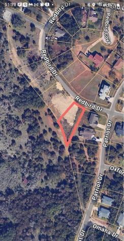 22003 Redbird Drive Lago Vista TX 78645