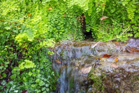 000 River Run Leander TX 78641