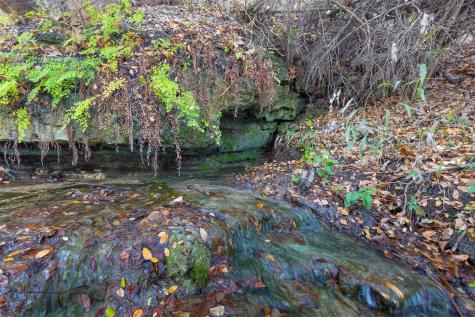 000 River Run Leander TX 78641