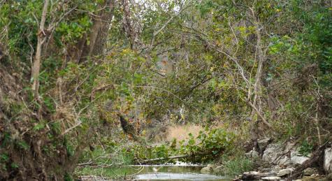 000 River Run Leander TX 78641