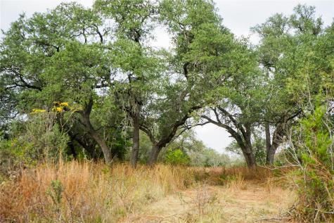 000 River Run Leander TX 78641