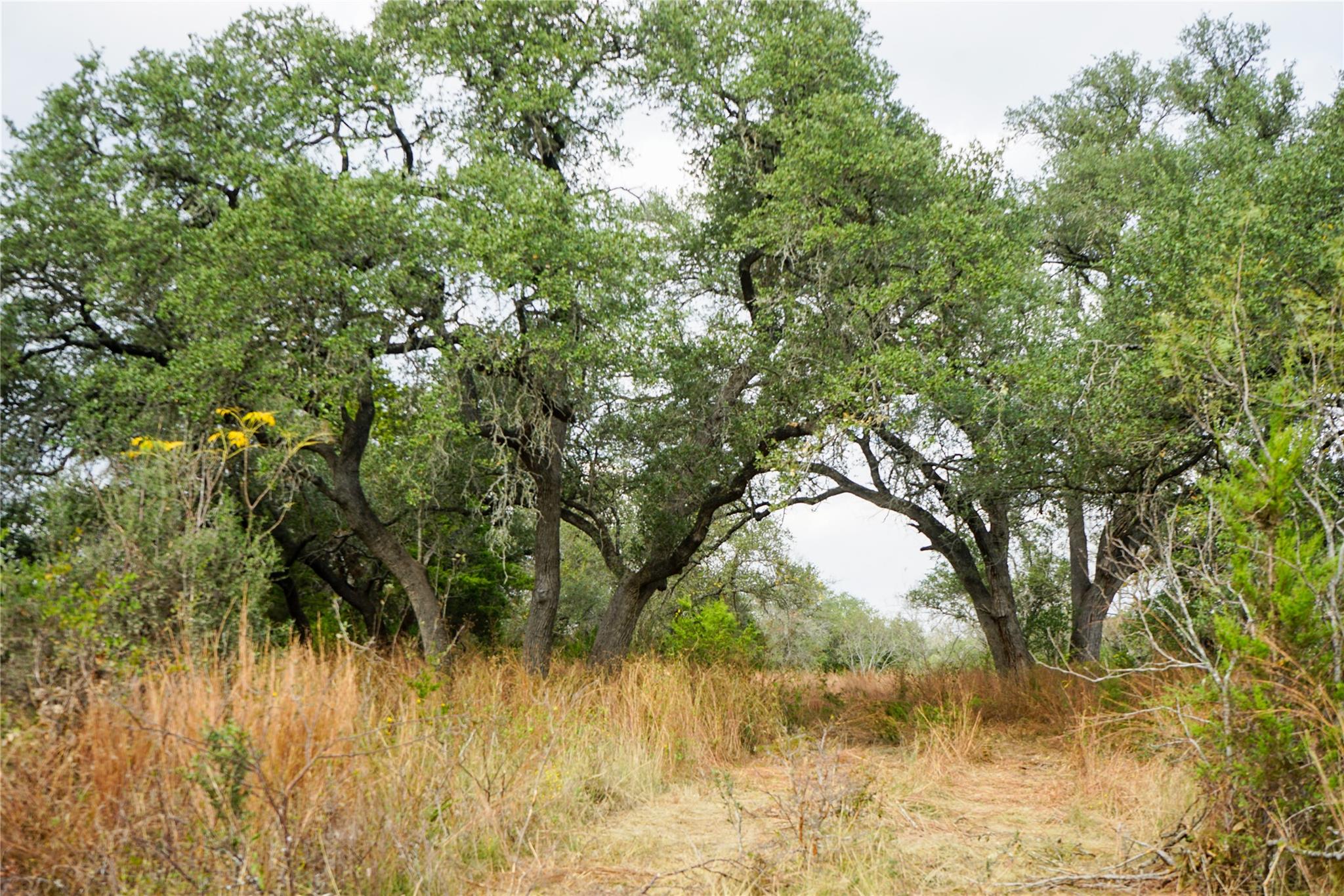 000 River Run Leander TX 78641