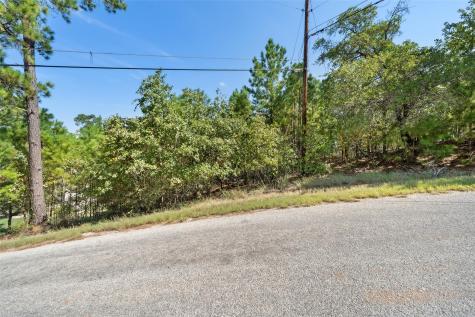 Tbd 847 Mamalu Drive Bastrop TX 78602