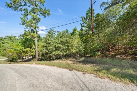 Tbd 847 Mamalu Drive Bastrop TX 78602