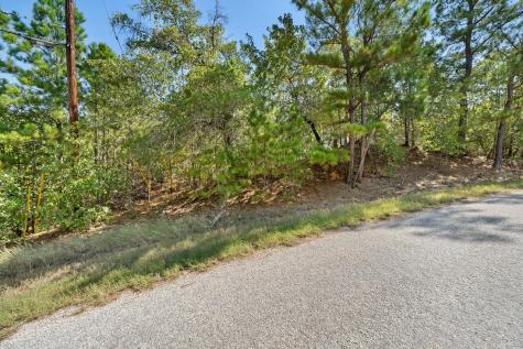 Tbd 847 Mamalu Drive Bastrop TX 78602