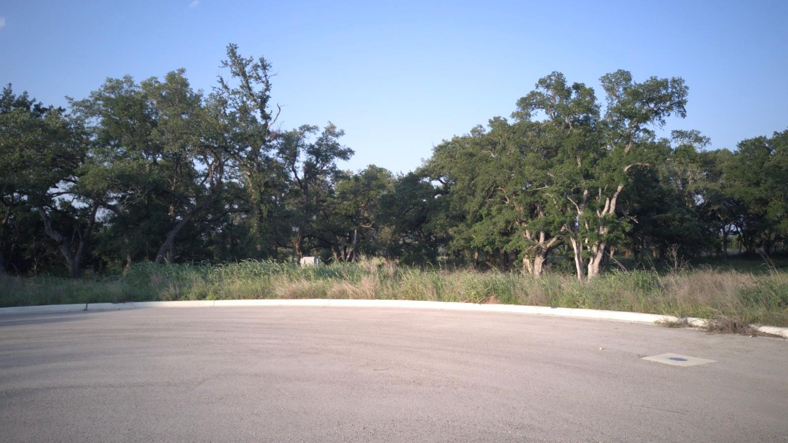 115 W Rio Ranch Road Liberty Hill TX 78642