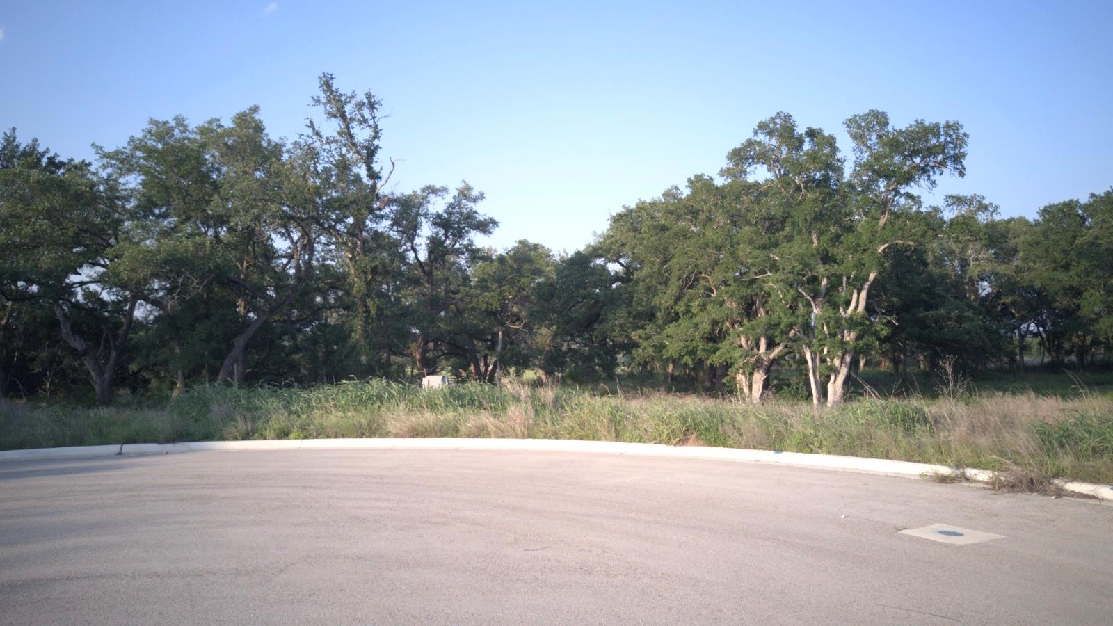 115 W Rio Ranch Road Liberty Hill TX 78642