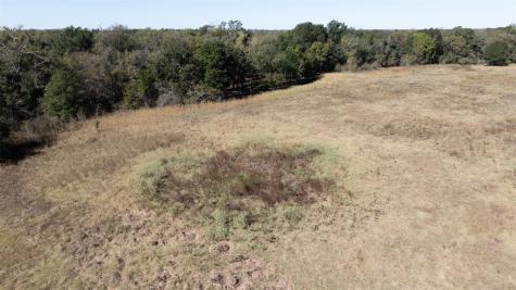 204 Little Branch Lane Cameron TX 76520