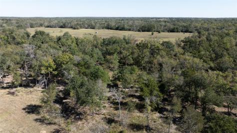 204 Little Branch Lane Cameron TX 76520