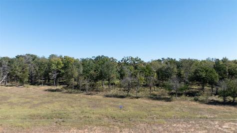 204 Little Branch Lane Cameron TX 76520
