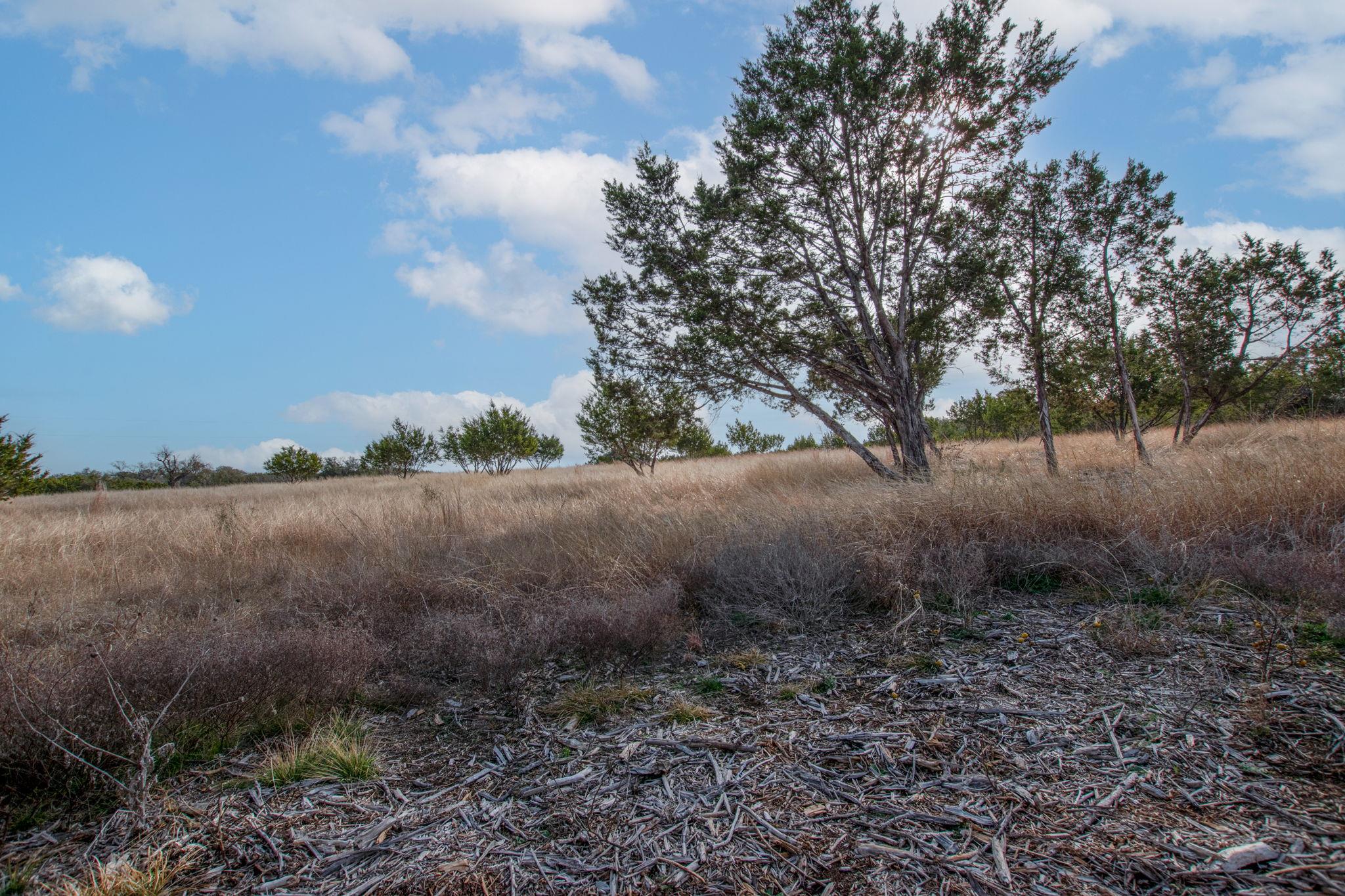 Tbd Burnet Oaks Lot 10 Drive Burnet TX 78611