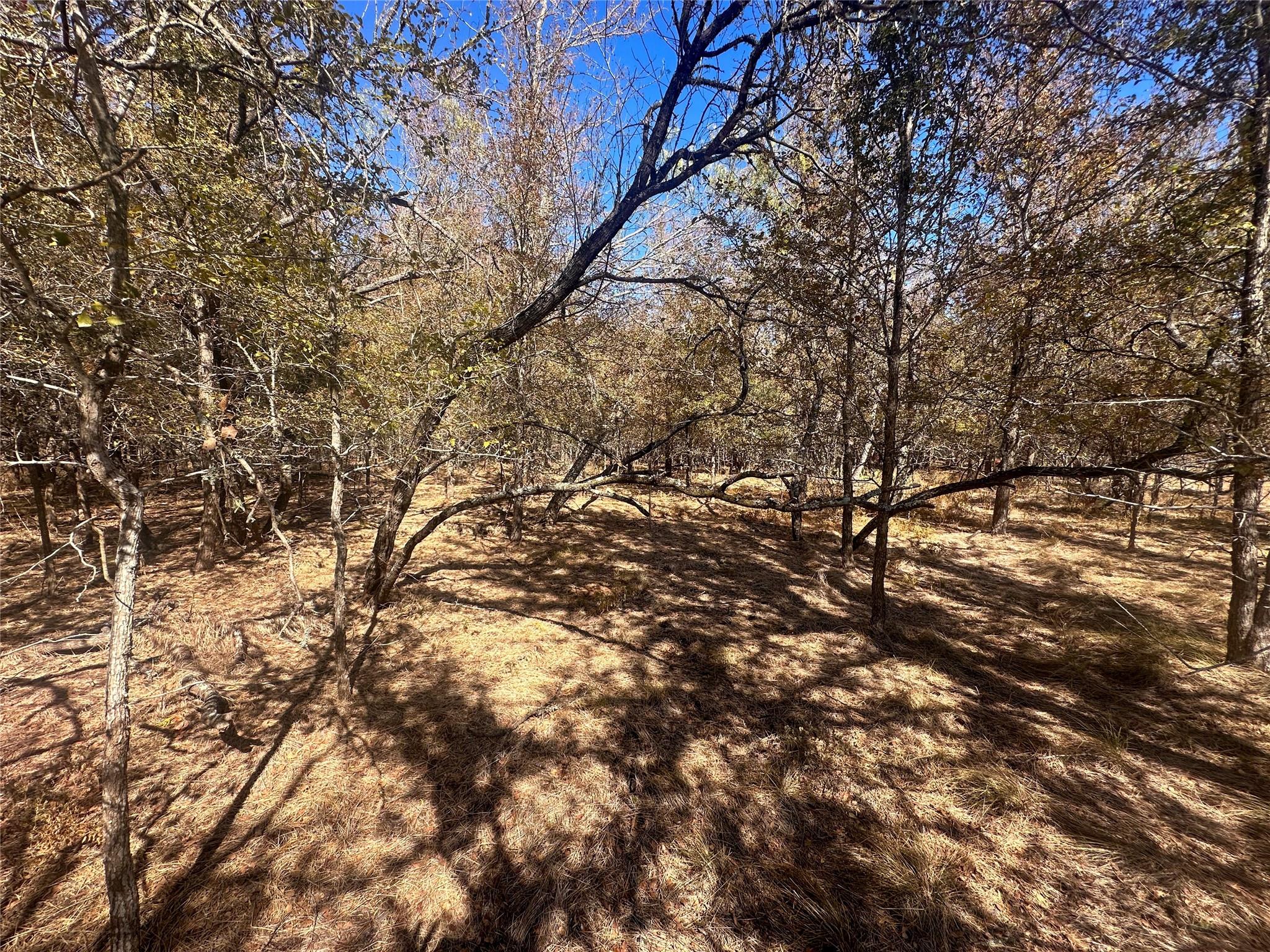 128 W Maunalua Drive Bastrop TX 78602