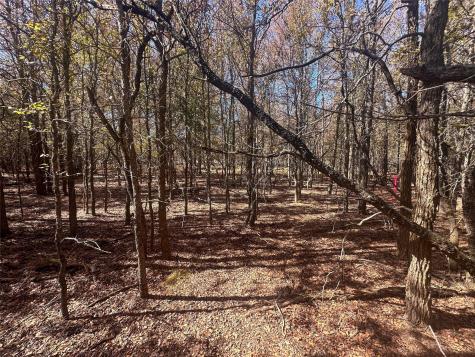 128 W Maunalua Drive Bastrop TX 78602