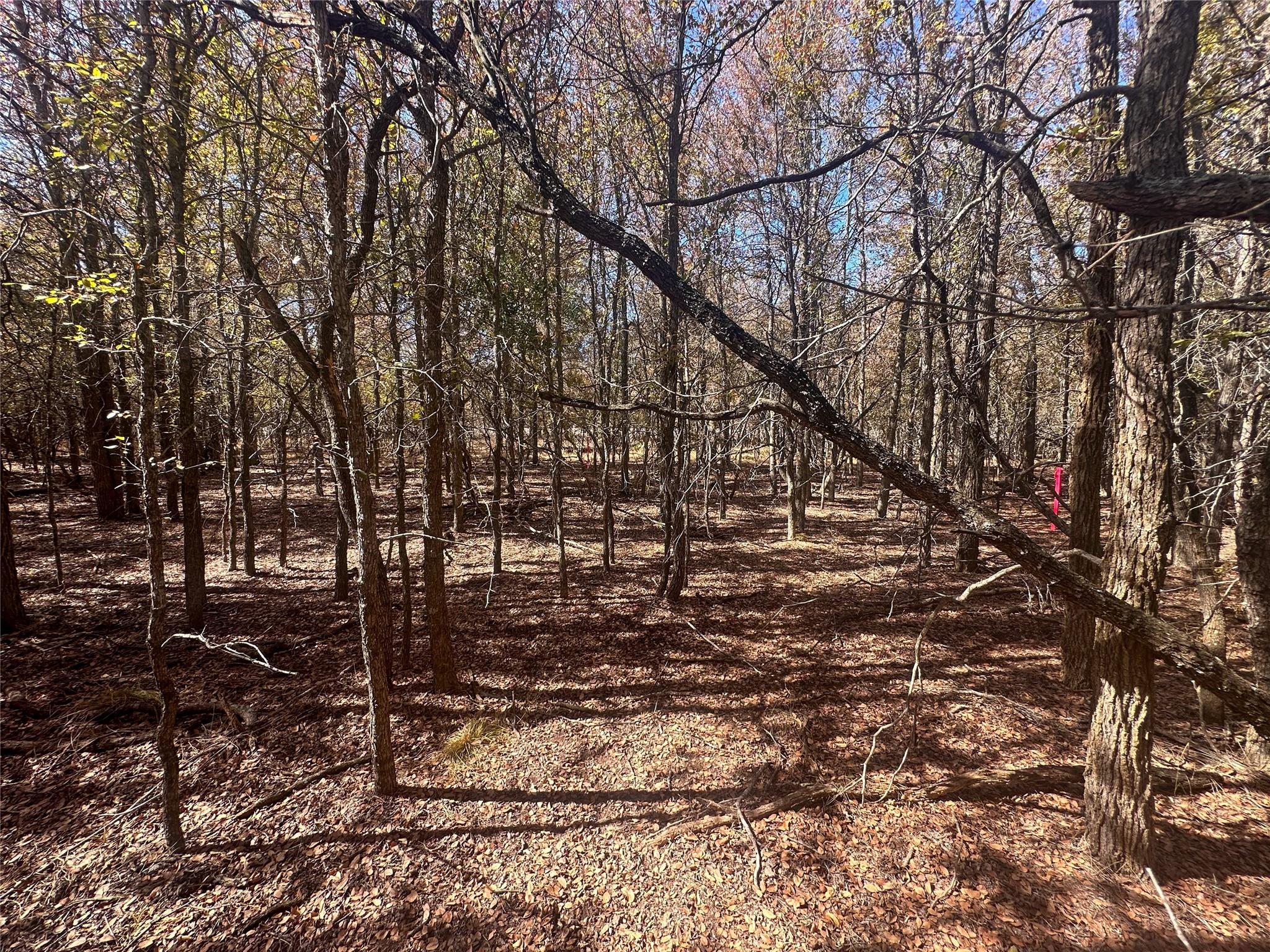 128 W Maunalua Drive Bastrop TX 78602