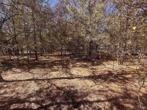128 W Maunalua Drive Bastrop TX 78602