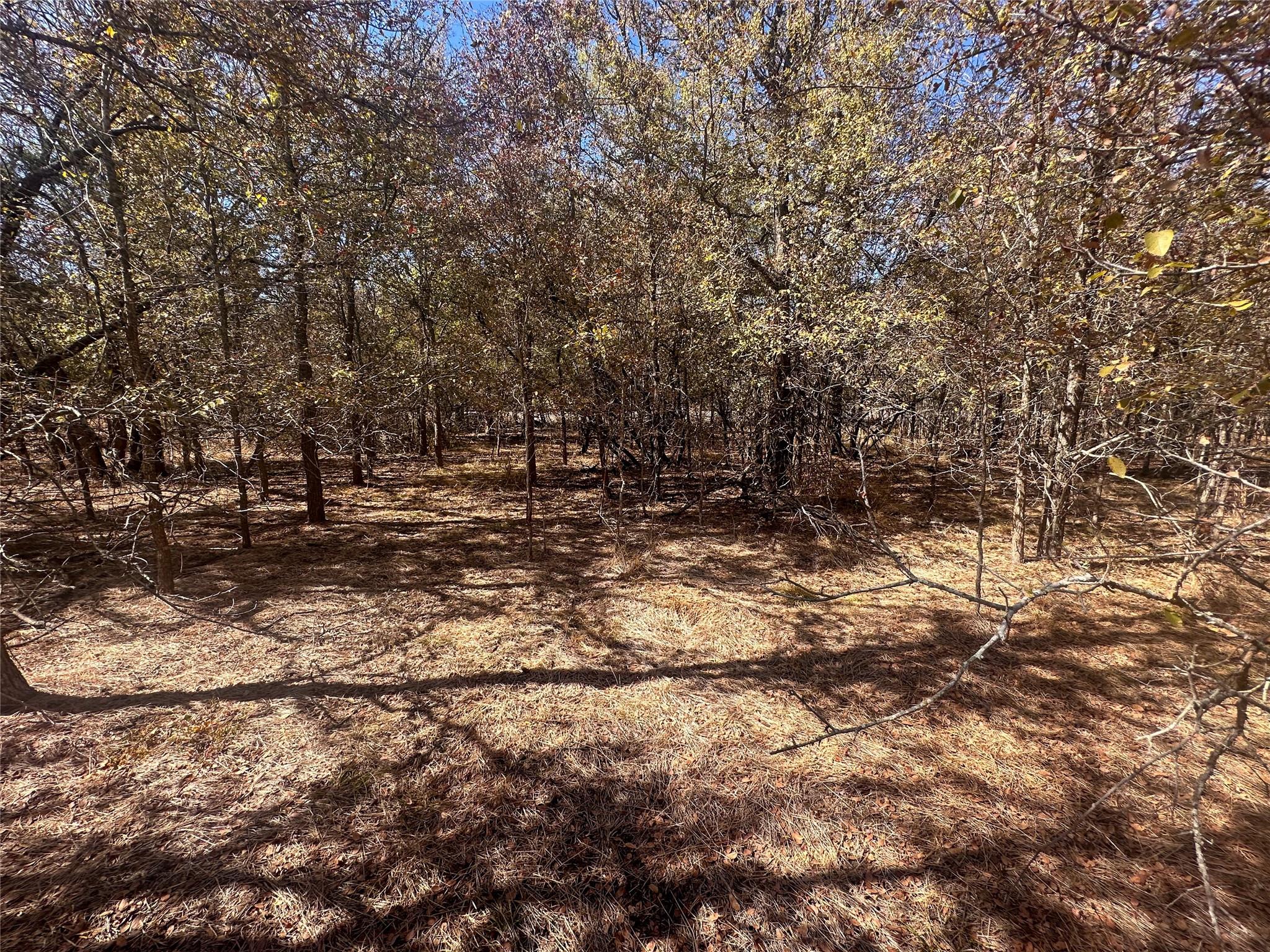 128 W Maunalua Drive Bastrop TX 78602