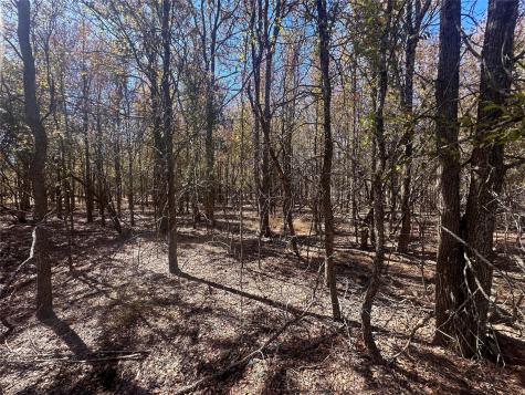 128 W Maunalua Drive Bastrop TX 78602