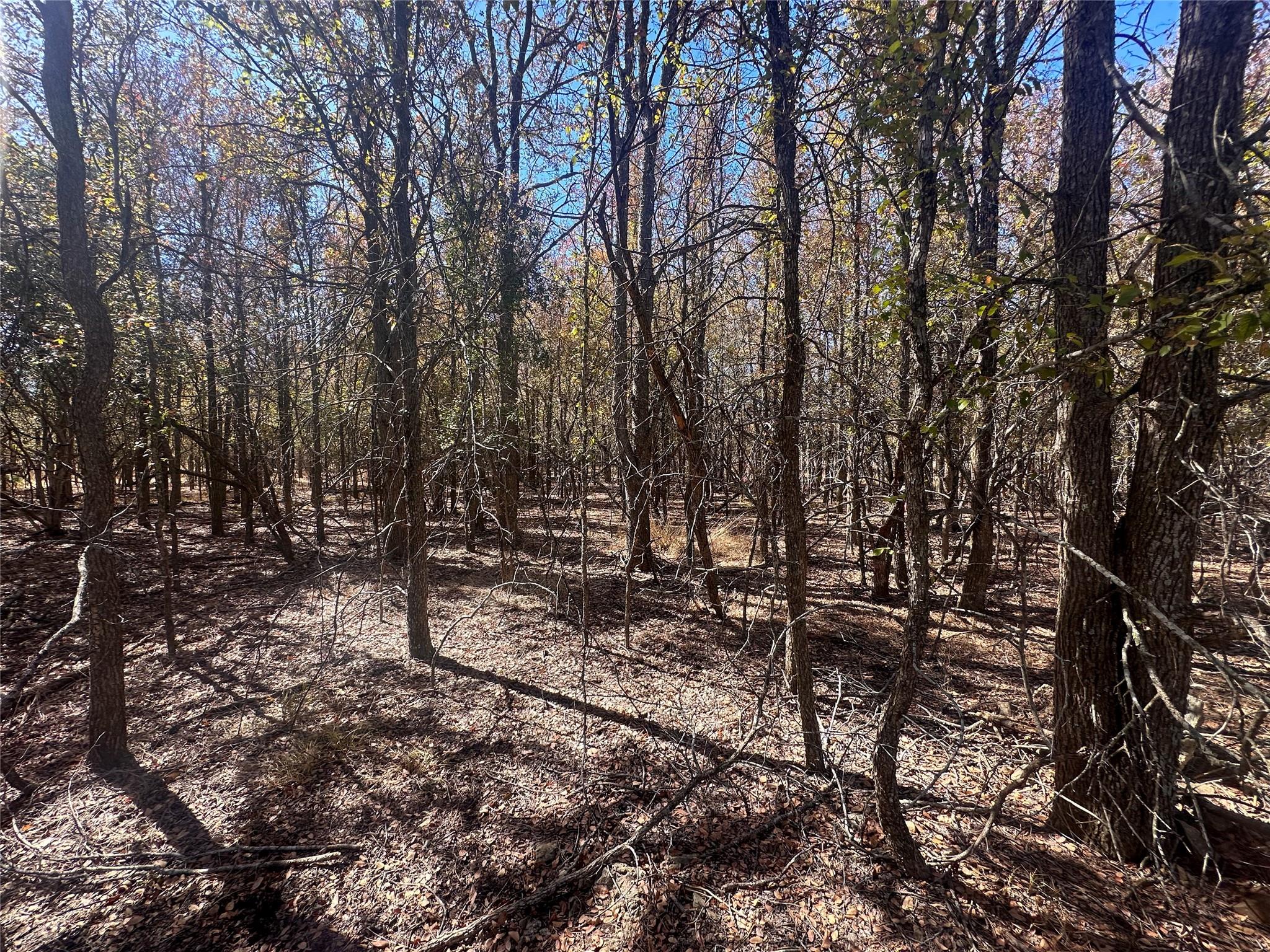 128 W Maunalua Drive Bastrop TX 78602