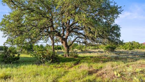 Lot 4 Vista Ridge Drive Round Mountain TX 78663