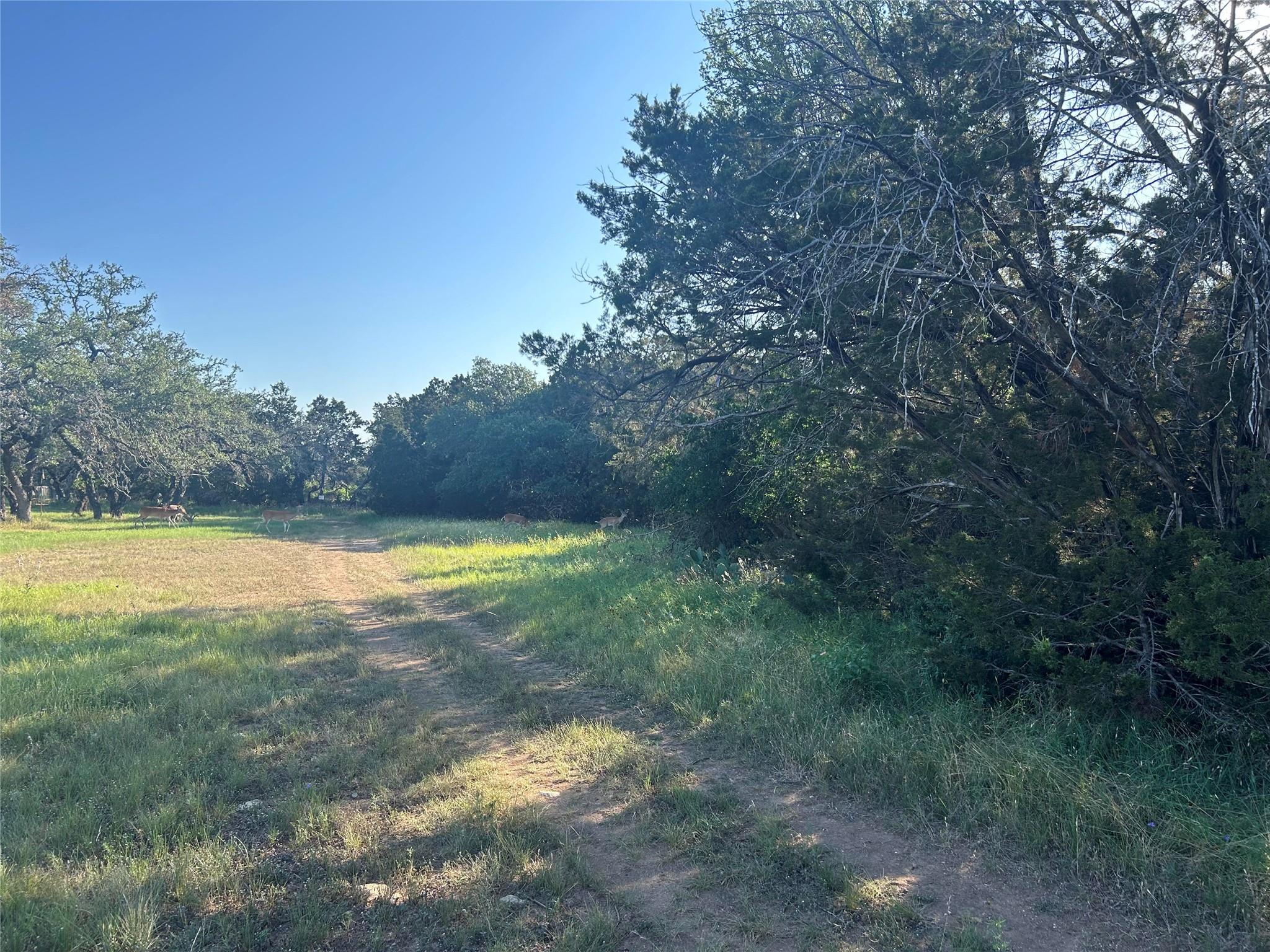 20804 Hawthorne Cove Lago Vista TX 78645