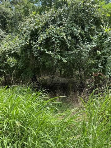 Lot 902 Kahana Lane Bastrop TX 78602