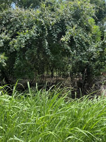 Lot 902 Kahana Lane Bastrop TX 78602