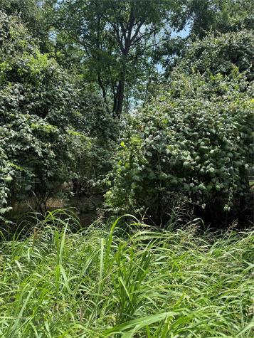 Lot 902 Kahana Lane Bastrop TX 78602