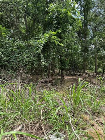 Lot 902 Kahana Lane Bastrop TX 78602