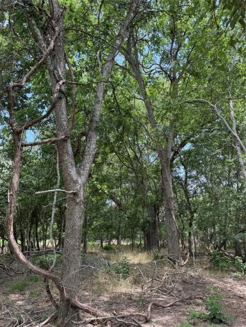 Lot 902 Kahana Lane Bastrop TX 78602