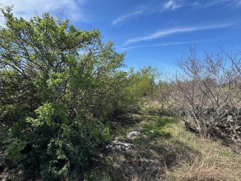 Lot 158 Sierra Drive Bertram TX 78605