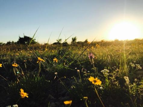 Lot 158 Sierra Drive Bertram TX 78605