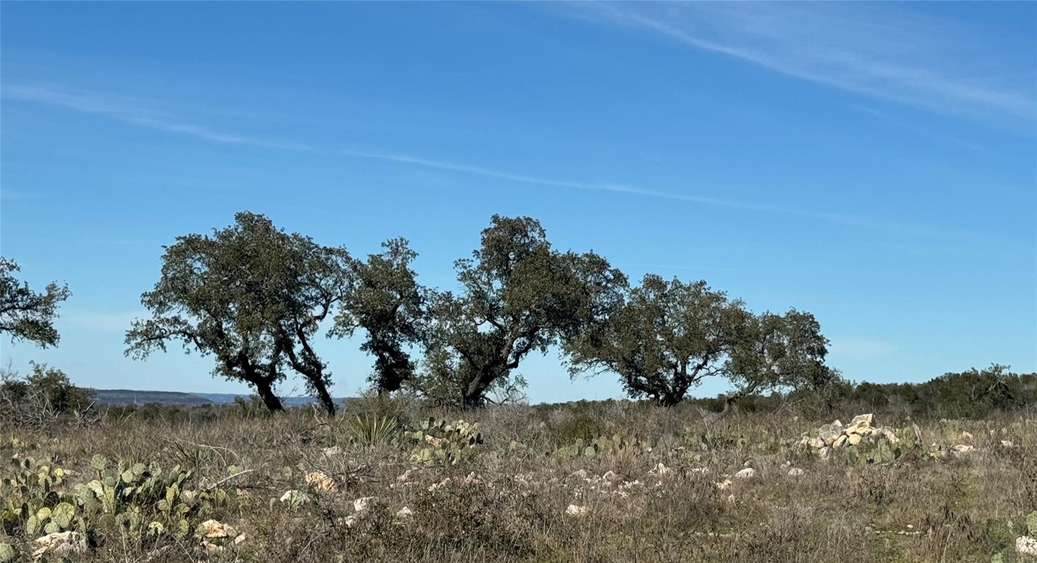 Lot 57 Big Creek Drive Kingsland TX 78639