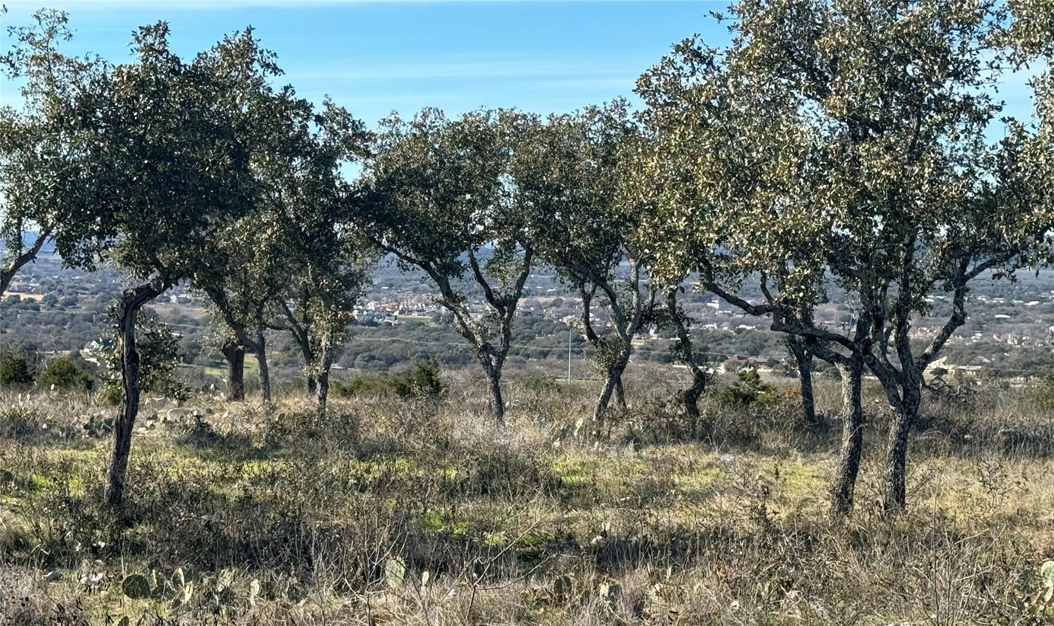 Lot 57 Big Creek Drive Kingsland TX 78639