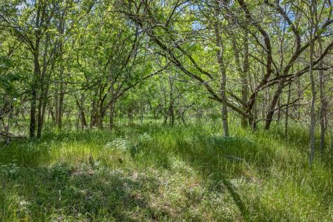 0000 Fm 1854 Road Dale TX 78616
