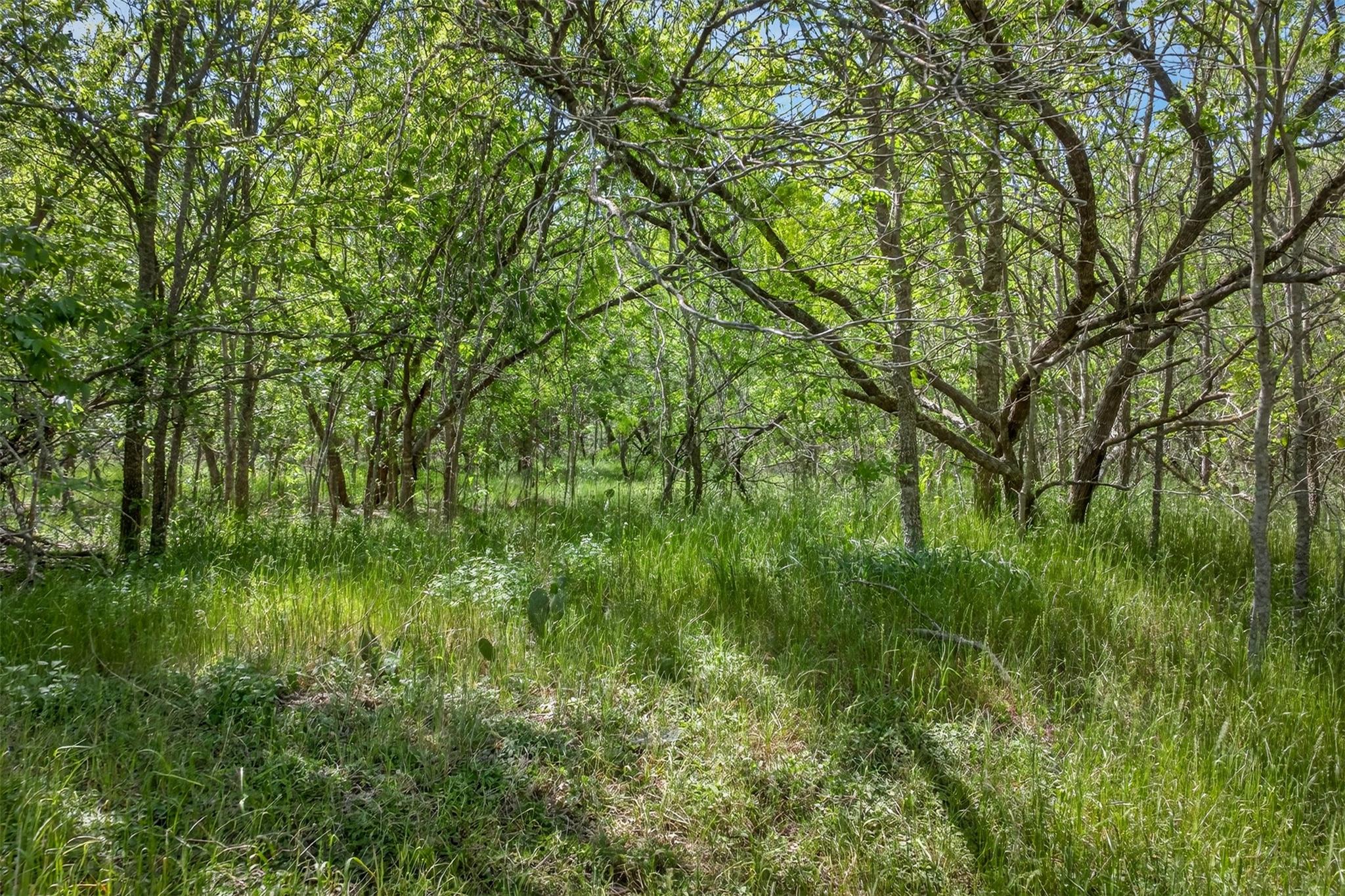 0000 Fm 1854 Road Dale TX 78616