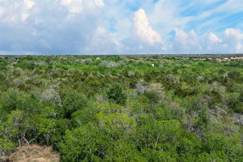 0000 Fm 1854 Road Dale TX 78616