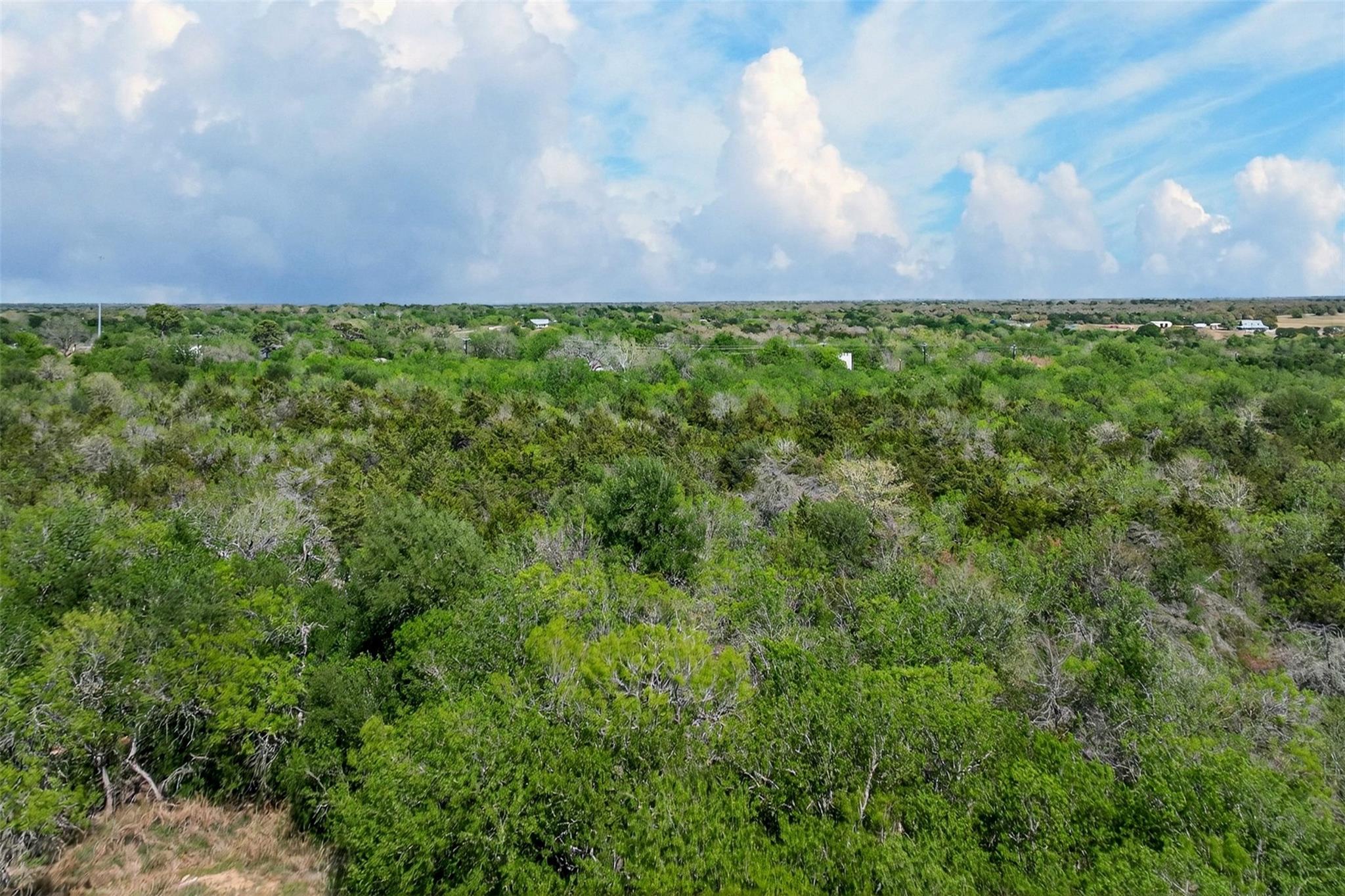 0000 Fm 1854 Road Dale TX 78616